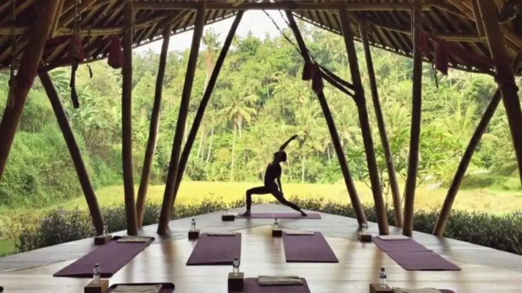 Group practicing yoga in open-air studio surrounded by Ubud’s lush greenery